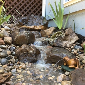 Photo of Good Earth Water Gardens