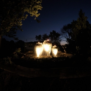 Photo of Good Earth Water Gardens