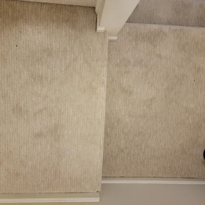 Photo of Empire Carpet and Duct Cleaning