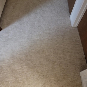 Photo of Empire Carpet and Duct Cleaning