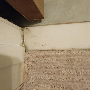 Photo of Empire Carpet and Duct Cleaning