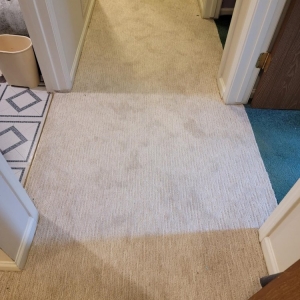 Photo of Empire Carpet and Duct Cleaning