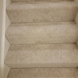 Photo of Empire Carpet and Duct Cleaning
