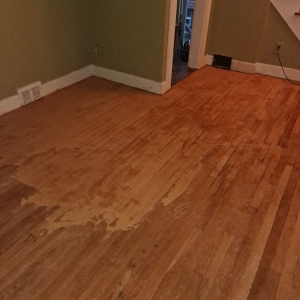 Photo of Frank Pelone Painting and Handyman Services