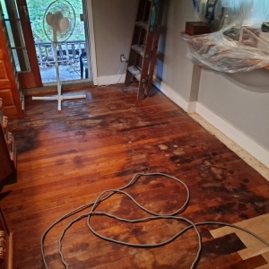 Photo of Frank Pelone Painting and Handyman Services