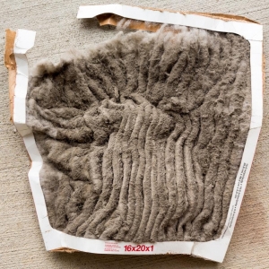 Photo of Ark Dryer Vent Cleaning
