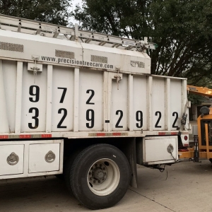 Photo of Precision Tree Care & Gardenscape