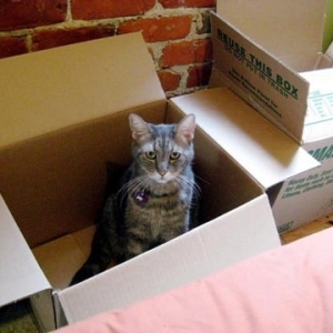Photo of San Antonio Discount Movers