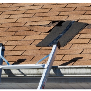 Photo of Rescue My Roof