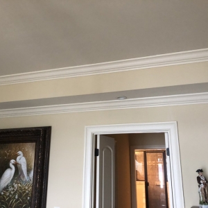Photo of Pro Painters