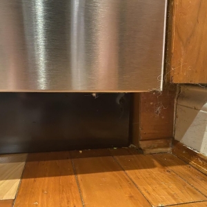 Photo of Queen Bee Cleaning Service