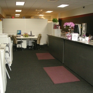 Photo of Zine Graphics & Print