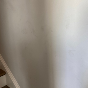 Photo of Atlanta Pro Movers