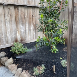 Pleasanton Blair Landscape Services