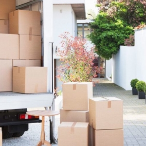 Photo of Knockout Movers Moving Company