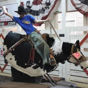 Photo of Rodeo Zone Mini Ranch