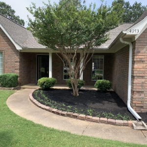 Photo of Buena Vista Lawn Care
