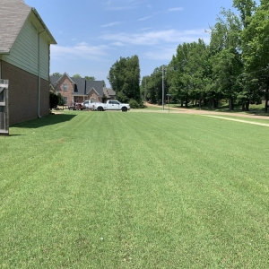 Photo of Buena Vista Lawn Care