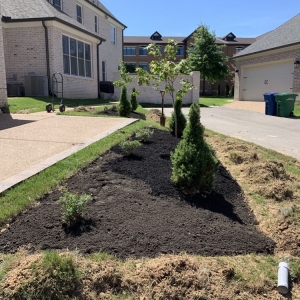 Photo of Buena Vista Lawn Care