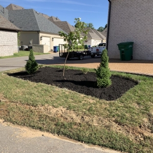 Photo of Buena Vista Lawn Care