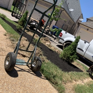 Photo of Buena Vista Lawn Care