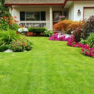 Photo of Landscaping Ramirez