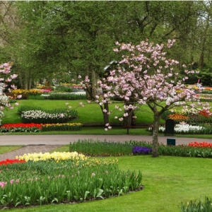 Photo of Landscaping Ramirez