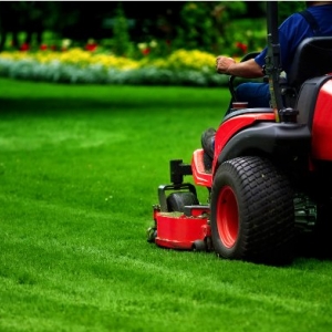 Photo of Landscaping Ramirez