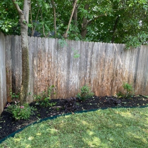 Photo of Lee's Lawn & Garden