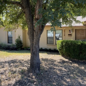 Photo of Lee's Lawn & Garden
