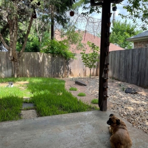 Photo of Lee's Lawn & Garden