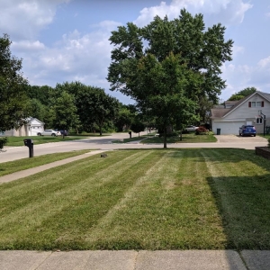 Photo of Lawn Barbers