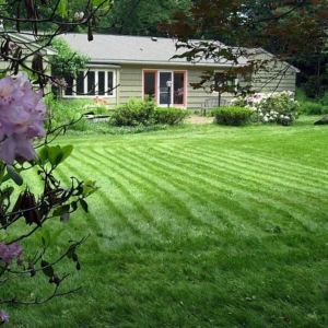 Photo of Lawn Barbers