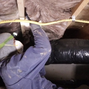 Photo of Clean Crawls - Insulation Install & Removal: Lakewood
