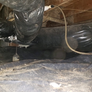 Photo of Clean Crawls - Insulation Install & Removal: Lakewood