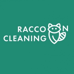 Bensenville Raccoon Cleaning Services