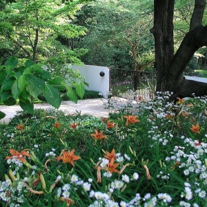 Photo of Stephen E Meehan Landscape Architect