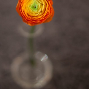 Photo of Aesthetic Floral & Event Artistry