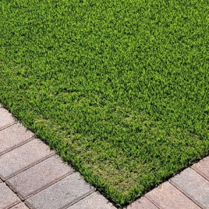 Photo of Tough Turtle Turf - Las Vegas