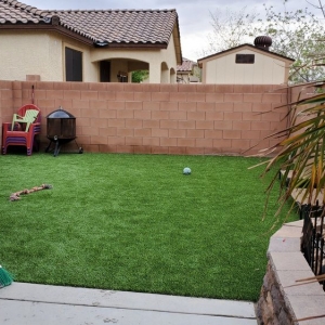 Photo of Tough Turtle Turf - Las Vegas