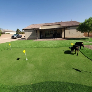 Photo of Tough Turtle Turf - Las Vegas