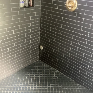 Photo of Blue Bear Plumbing & Drain