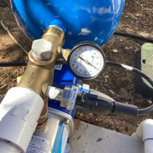 Photo of Blue Bear Plumbing & Drain