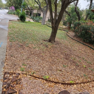 Photo of Texas Tradition Landscaping