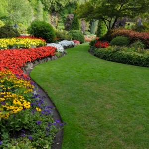 Photo of Signature Stripe Lawn and Landscaping