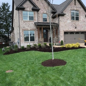Photo of Signature Stripe Lawn and Landscaping