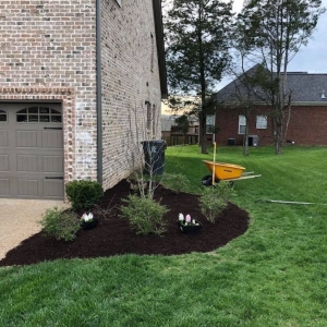 Photo of Signature Stripe Lawn and Landscaping