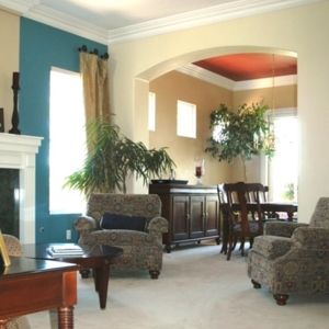 Photo of Rocky Mountain Color & Design