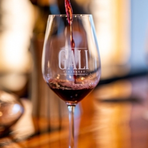 Photo of Gali Vineyards