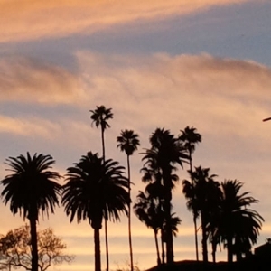 Photo of Bookkeeping In The Sun - San Diego